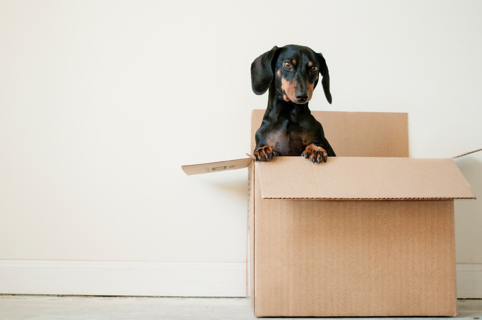 Important Announcement: Our Company is Changing Address